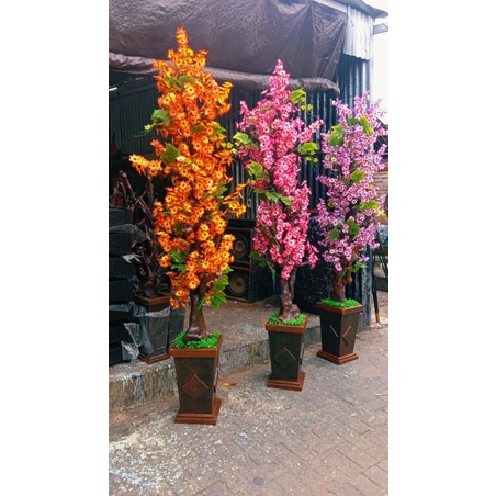 TINGGI 210CM POHON BONSAI LENGKAP VAS BEBATUAN BUNGA SAKURA LOKAL JUMBO KWALITAS CLASS SUPER POHON B