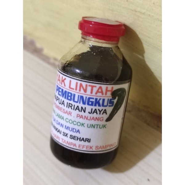ramuan daun pembungkus minyak lintah