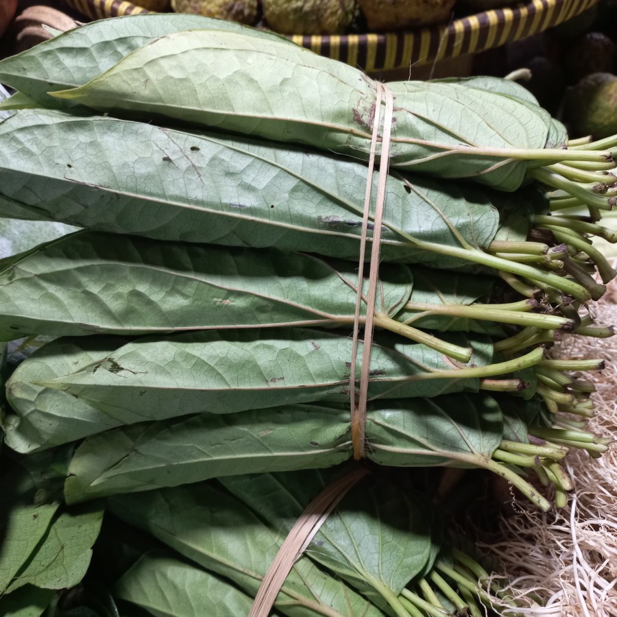 

SIRIH MEDAN / DEMBAN FRESH 5 IKAT