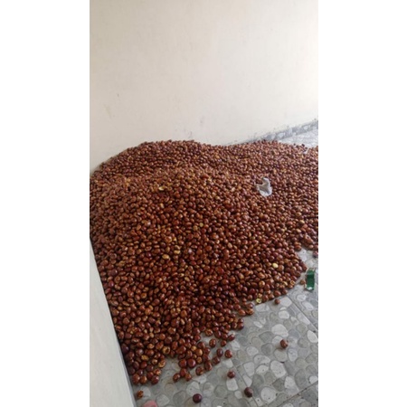

jengkol fullen /kg
