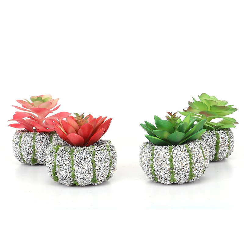 

Ecentio Tanaman succulent buatan tanaman hias mini dengan pot batu
