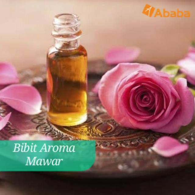 FRAGRANCE AROMA MAWAR BIBIT PARFUM MAWAR