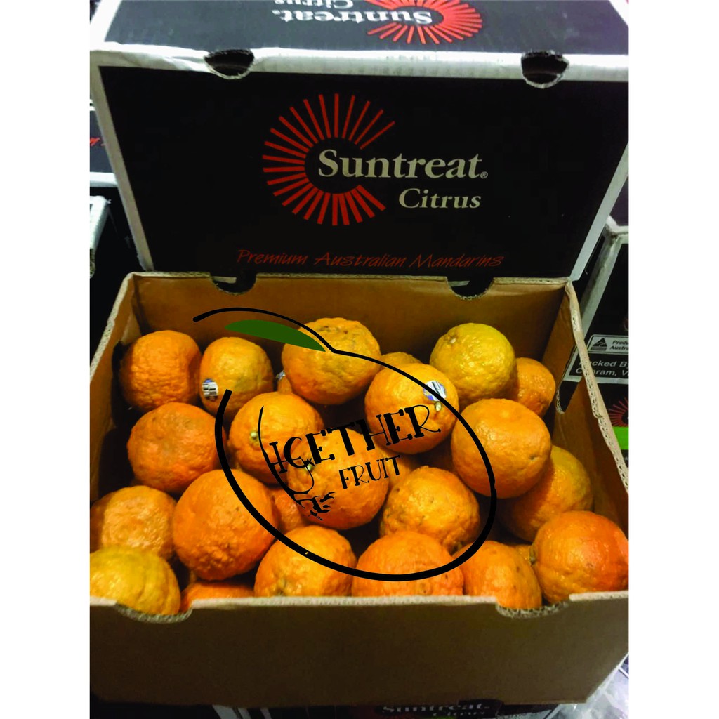 

JERUK PREMIUM ASUTRALIAN MANDARIN