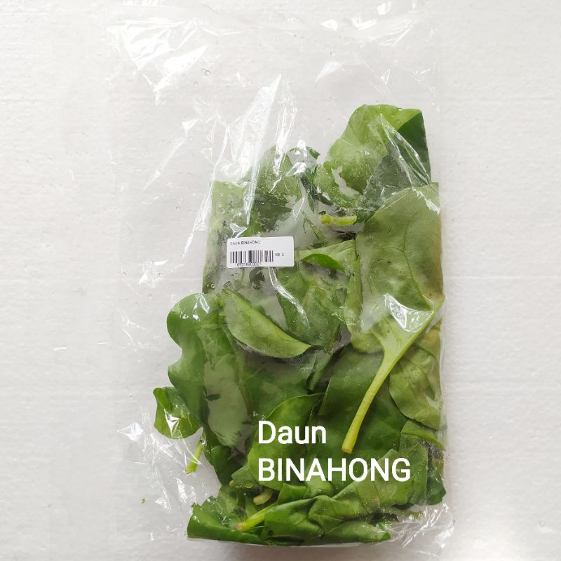 

DAUN BINAHONG SEGAR FRESH PENYEMBUH LUKA / PERADANGAN DENPASAR BALI (KHUSUS GOJEK)