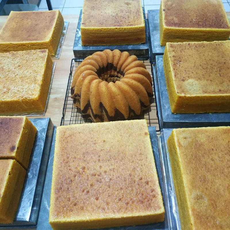 

lapissusupontianak