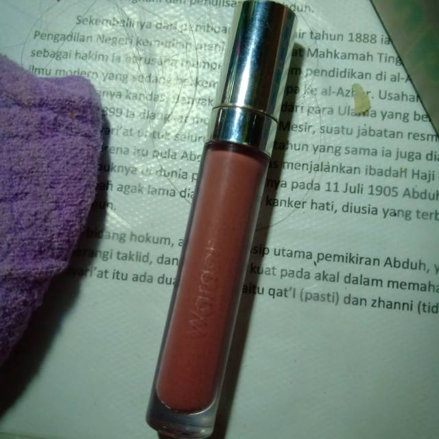 Wardah Matte Lip Cream No.11