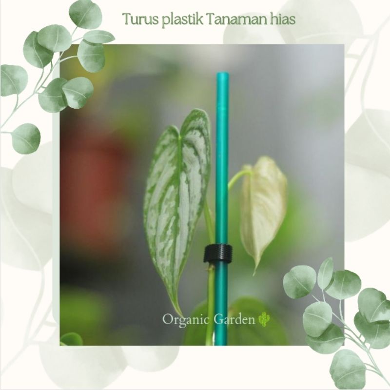 Turus plastik penyangga tanaman hias