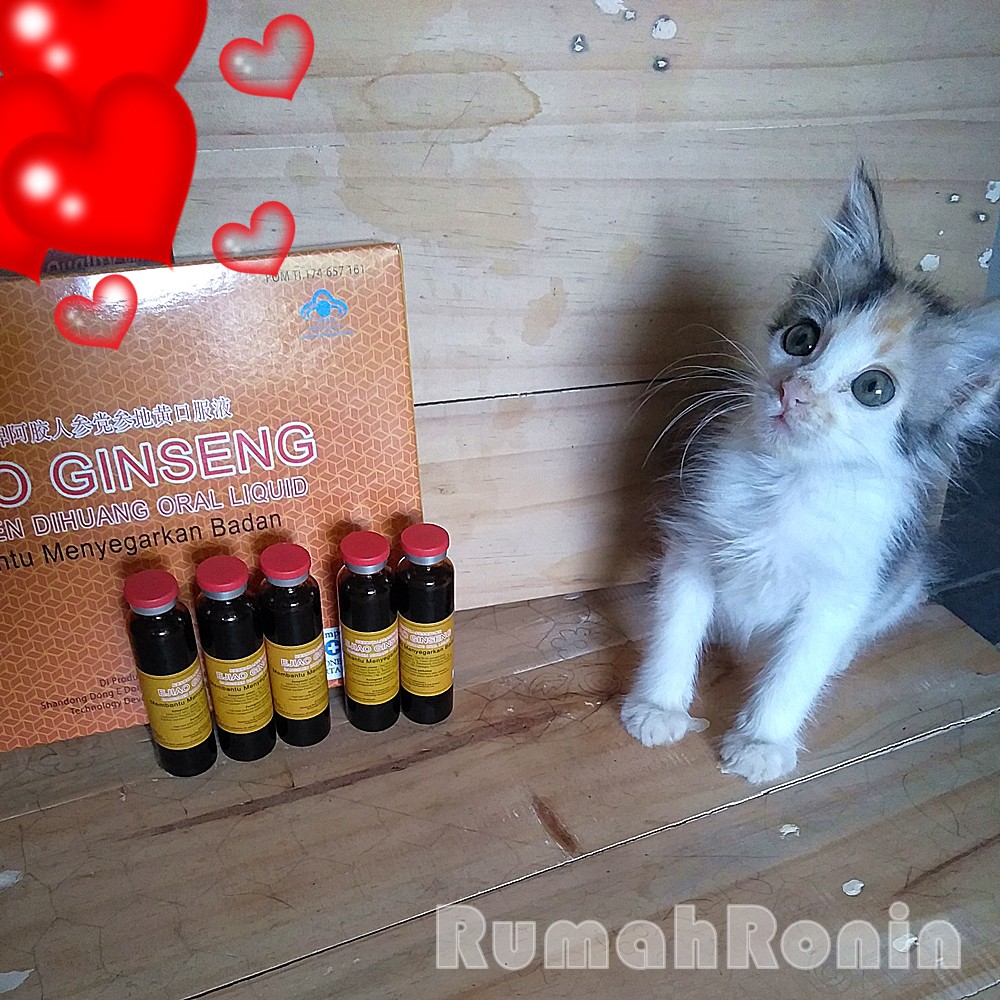 FuFang Ejiao Jiang | Obat Cina | Suplemen Kesehatan | Suplemen Alami | Fufang | 20ml