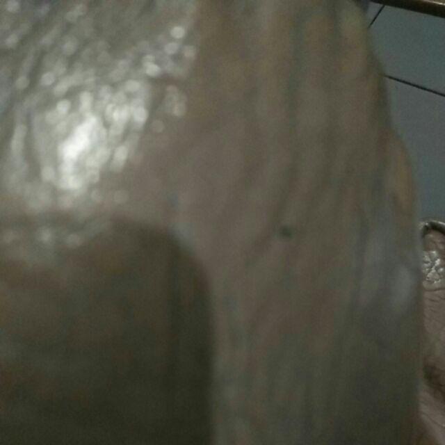 Xenon 400kg Tali Pengikat Barang Motor Ratchet Tie Down Set 1 In X 5 M