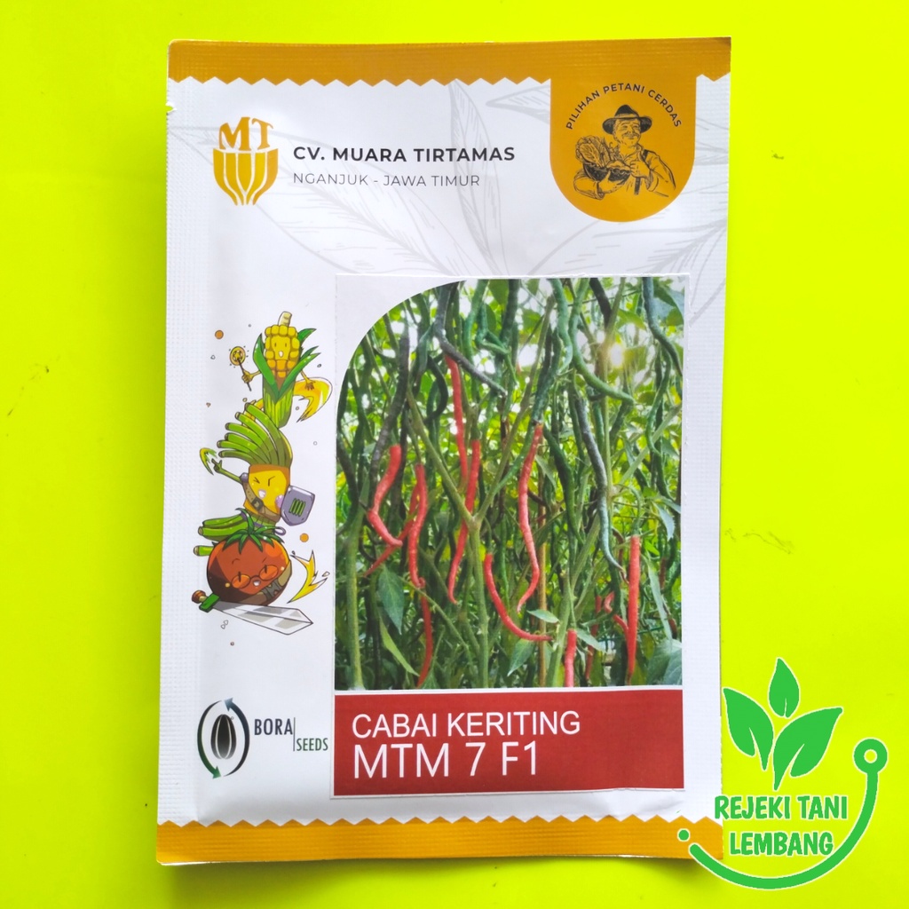 BENIH CABAI KERITING MTM 7 F1 ISI 10 GR