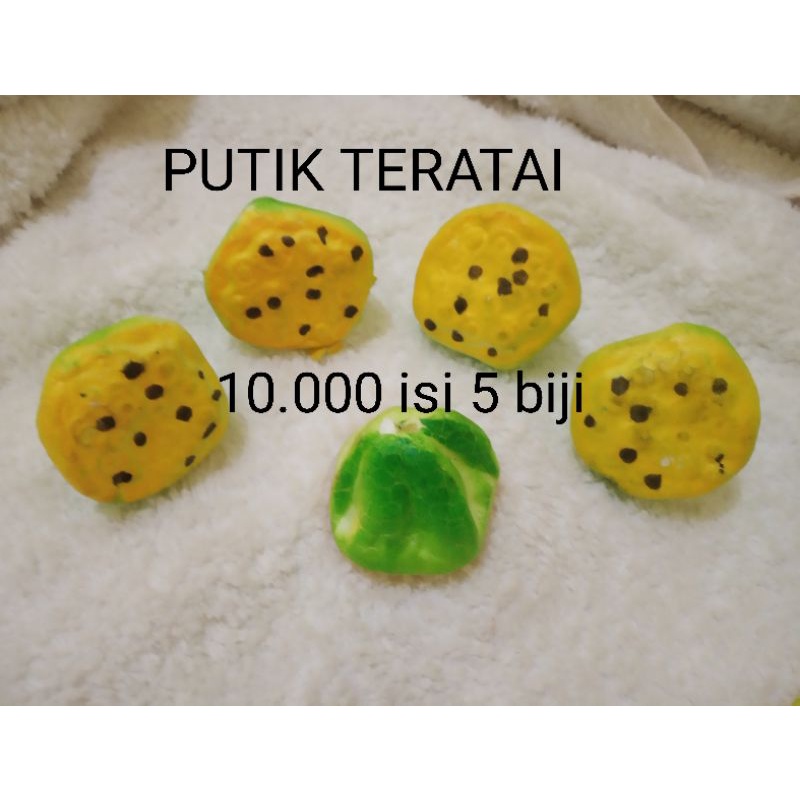 Putik Teratai Foam teratai kain stoking bahan Bunga Stocking nylon flower murah Tebal.