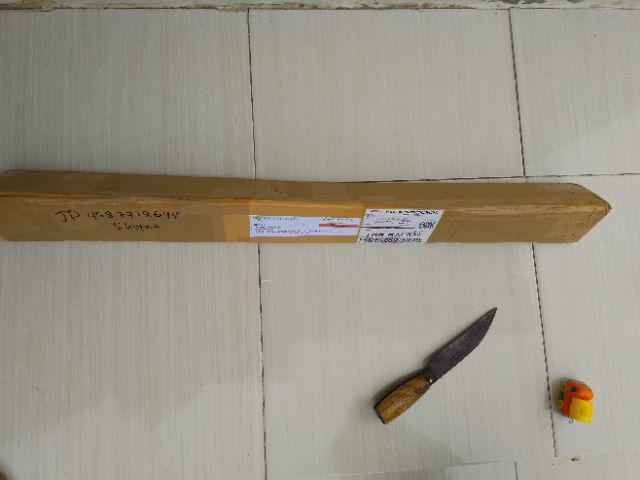 Tanaman Anggur Merah