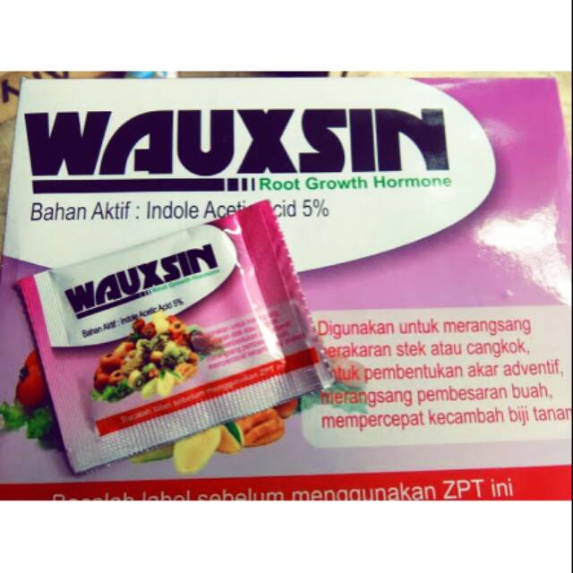 Wauxsin Hormon Penumbuh Akar Anggrek