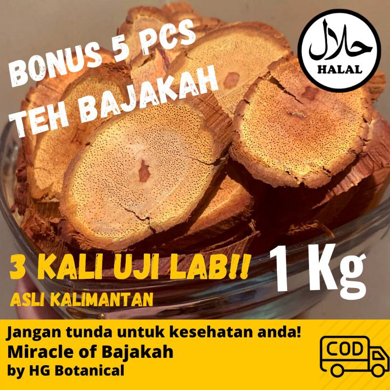 

AKAR BAJAKAH KALALAWIT MERAH 100% ORI KALIMANTAN 1 KG