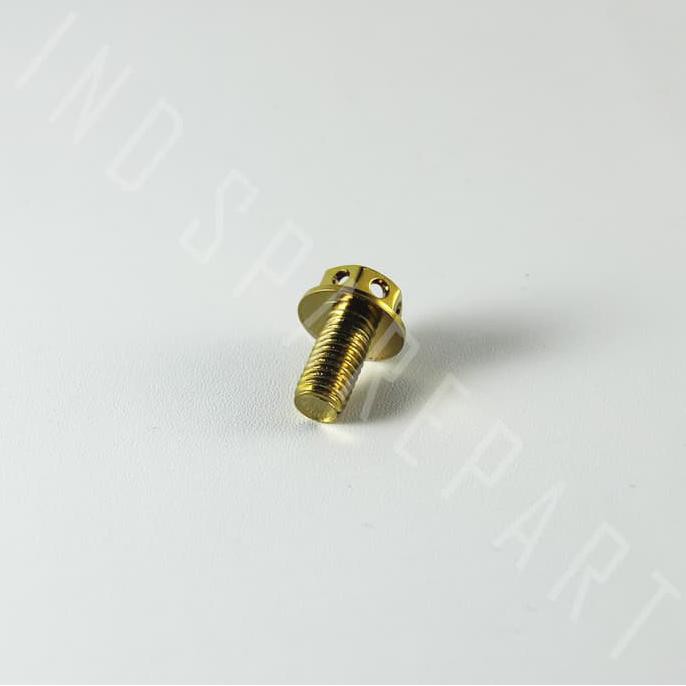 Baut Probolt-Pro Bolt Gold Tutup Oli Gardan Beat-Fi-F1-Esp-Street-Pop Berkualitas