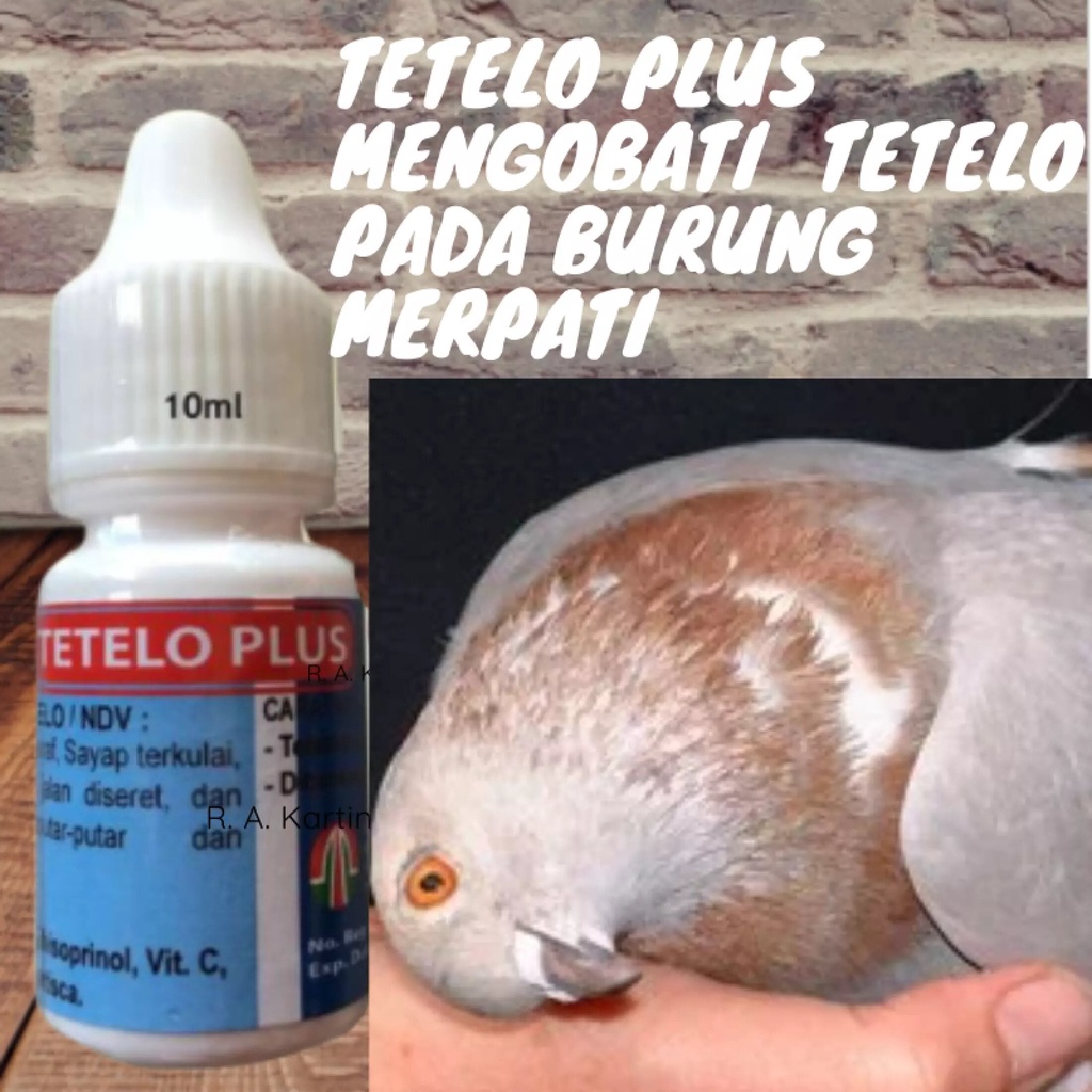 OBAT BURUNG MERPATI TETELO PLUS CAIR MENGOBATI & MENCEGAH TETELO NDV