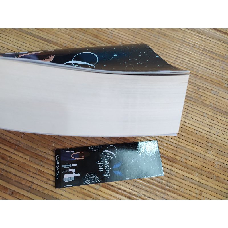 Novel Chasing You Karya Clarisa Yani