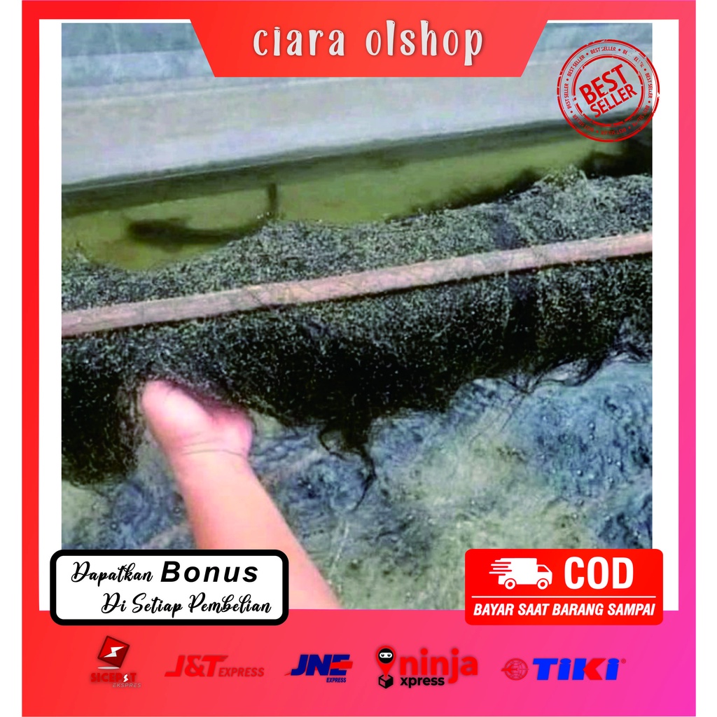 KAKABAN IJUK TEMPAT BERTELUR IKAN