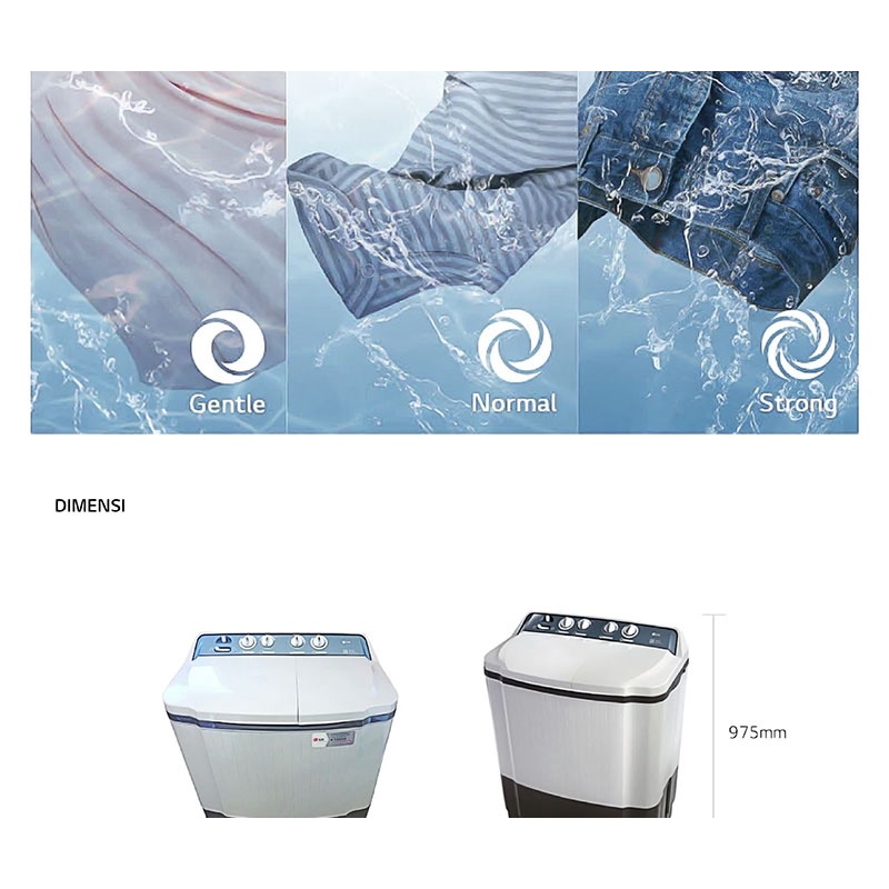 LG Mesin Cuci Twin Tub 8 KG - P8000N