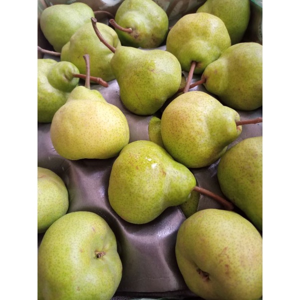 

Pear hijau Packham 1kg