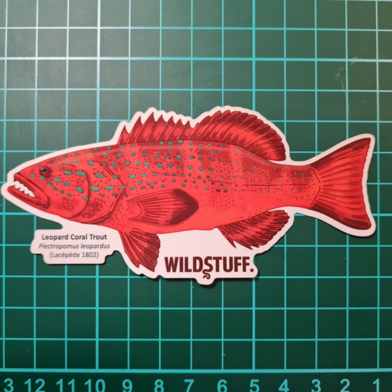 

STICKER KERAPU SUNUK LEOPARD CORAL TROUT