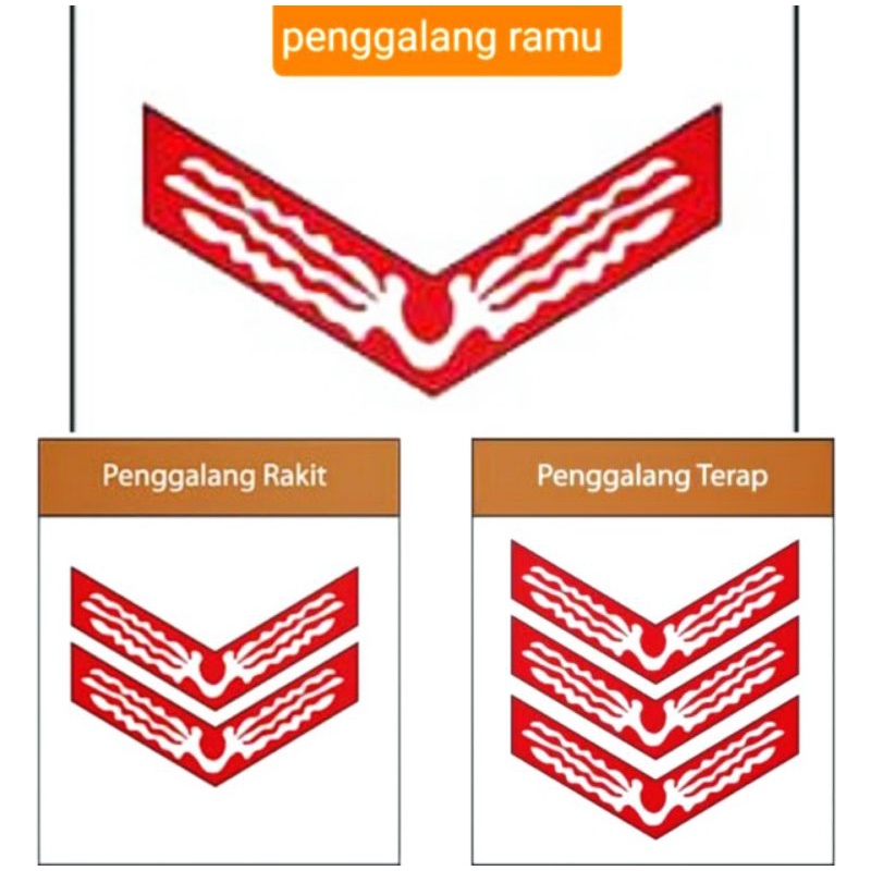 TKU Penggalang Ramu Tanda Kecakapan Pramuka Manggar Satu Manggar 1