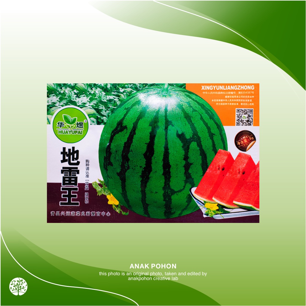 (1 PACK) Benih Semangka Merah Red Watermelon Seeds Retail Pack - IMPORT