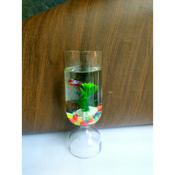 Soliter Toples Tempat Pelihara Ikan Cupang Botol tempat ikan cupang Aquarium Unik Soliter Mini