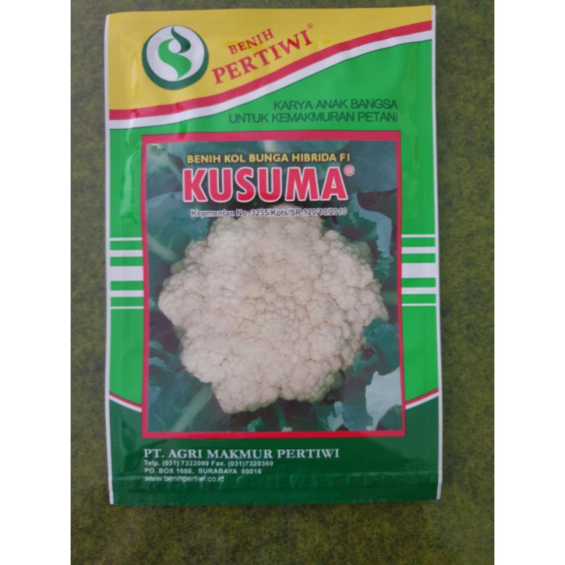 benih kol bunga / kembang kol hibrida f1 kusuma pertiwi isi 2200 biji