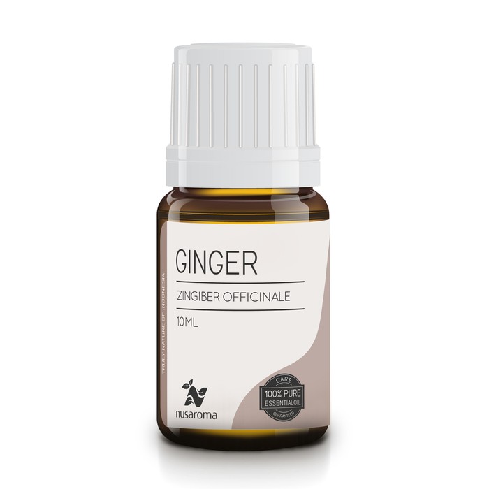 Ginger Fresh Essential Oil (Minyak Jahe) 10 ml l 100 % Murni