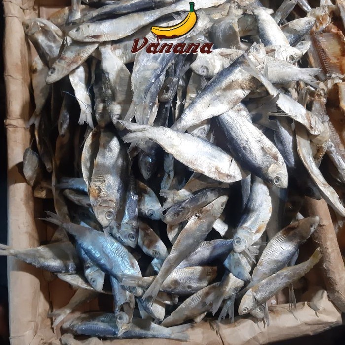 

Ikan Asin Tembang 1/4(250g)