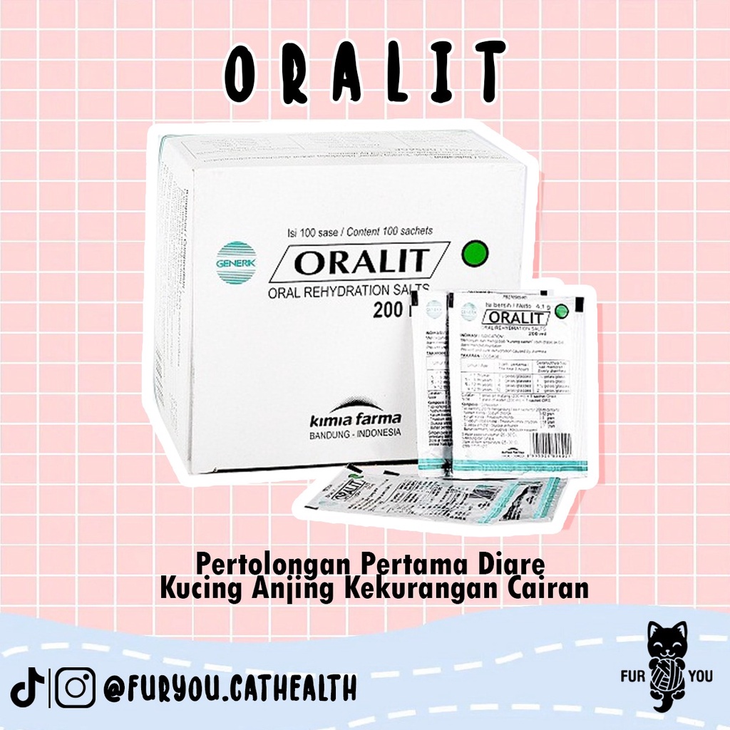 Oralit kucing cairan oralit oralit pertolongan pertama dehidrasi