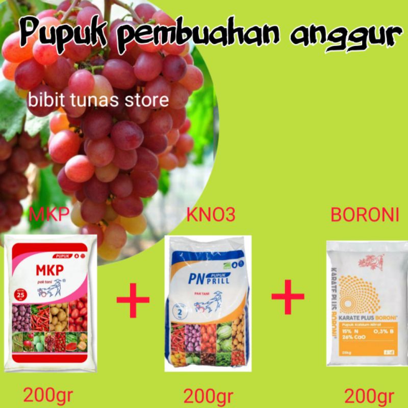 pupuk MKP/KNO3/BORONI pupuk hepi/pupuk pembuahan anggur