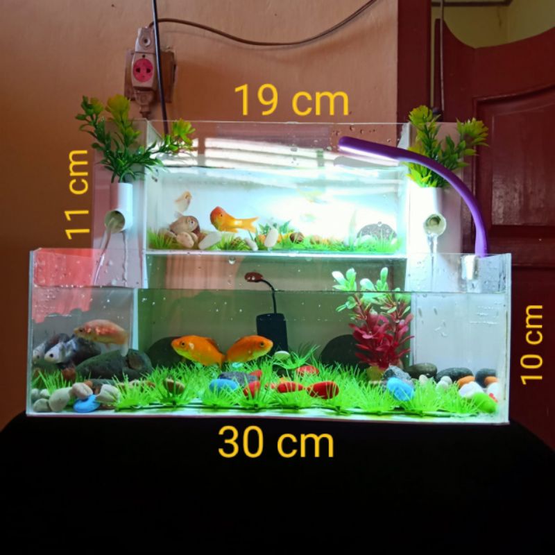 aquarium mini akrilik unik cantik minimalis