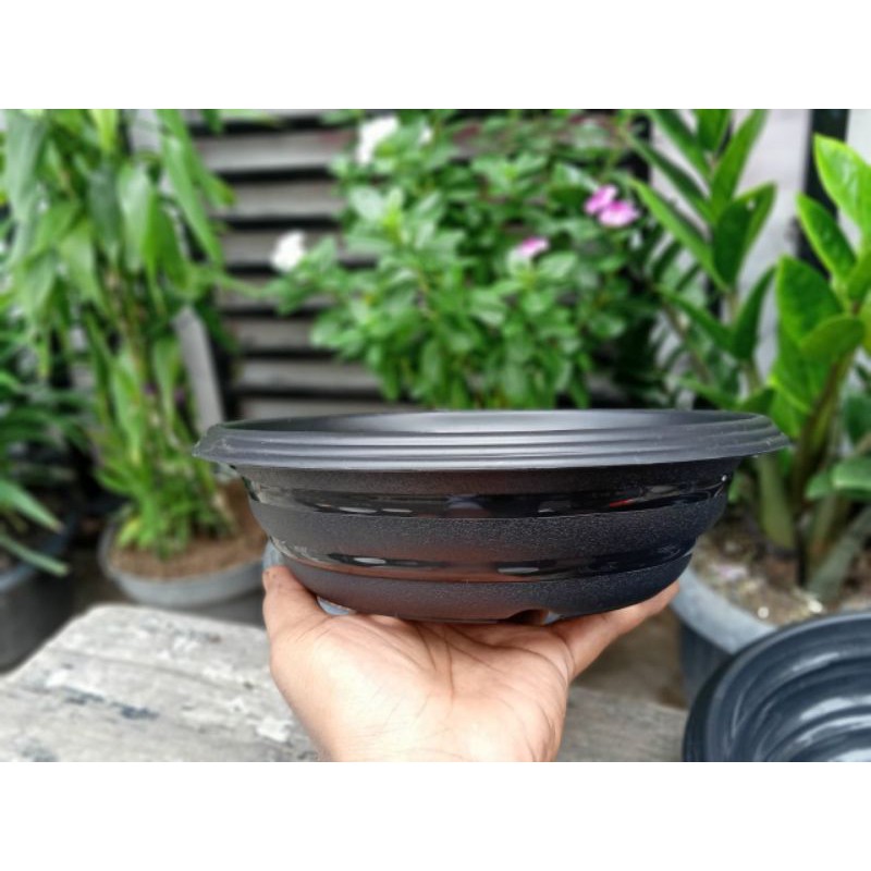 Pot bonsai plastik pot bonsai hitam putih pot bonsai azalia 25 pot bonsai kamboja bonsai beringin