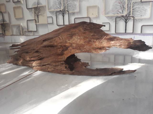 Kayu aquarium/kayu ulin fosil bahan aquarium