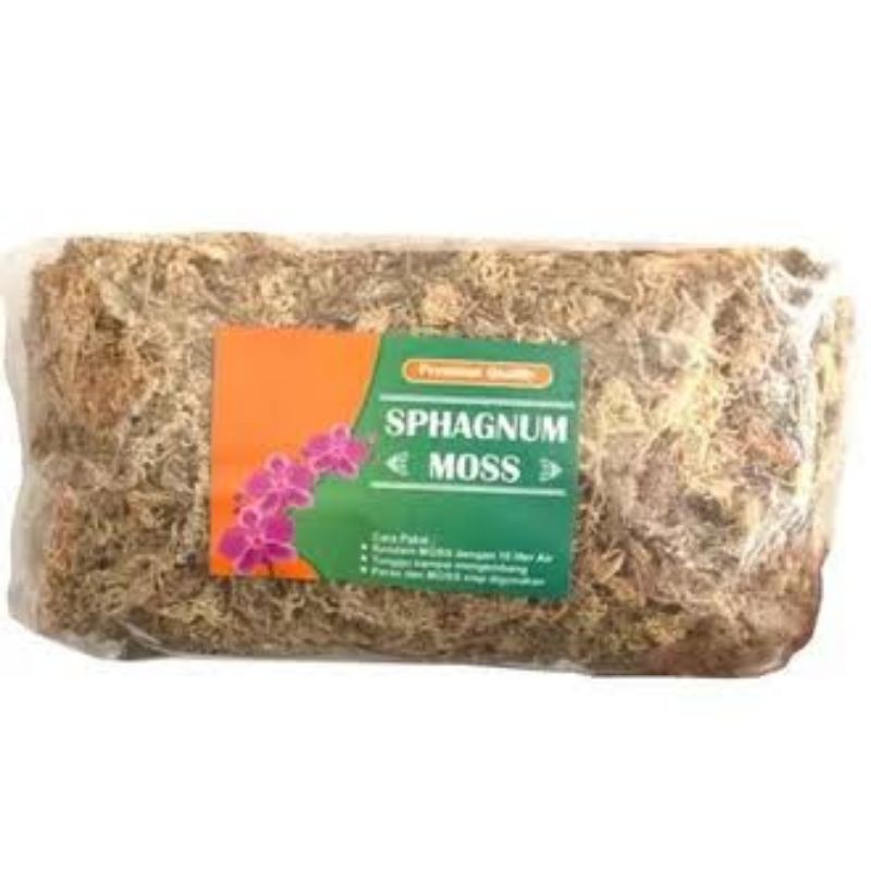 Sphagnum Moss Chile - media tanam anggrek - Moss putih 100 gram