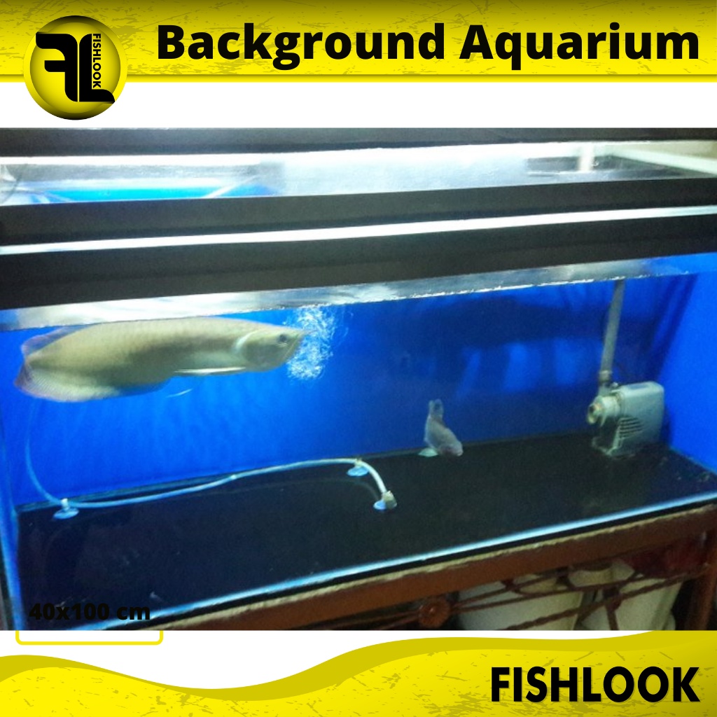 Background Aquarium Polos Biru / Hitam Tinggi 40 cm PERMETER