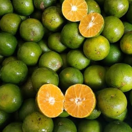 

Jeruk Peras Manis Segar Fresh