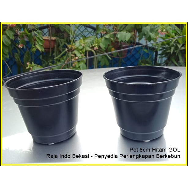 1200pcs Pot 8 Cm Hitam Merk Gol Pot Bunga 8cm Plastik - Vas Bunga Kecil Hitam - Pot Hidroponik Kecil