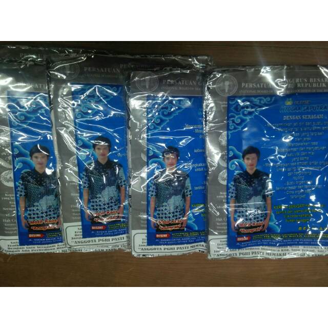 RPM      Kain Batik PGRI