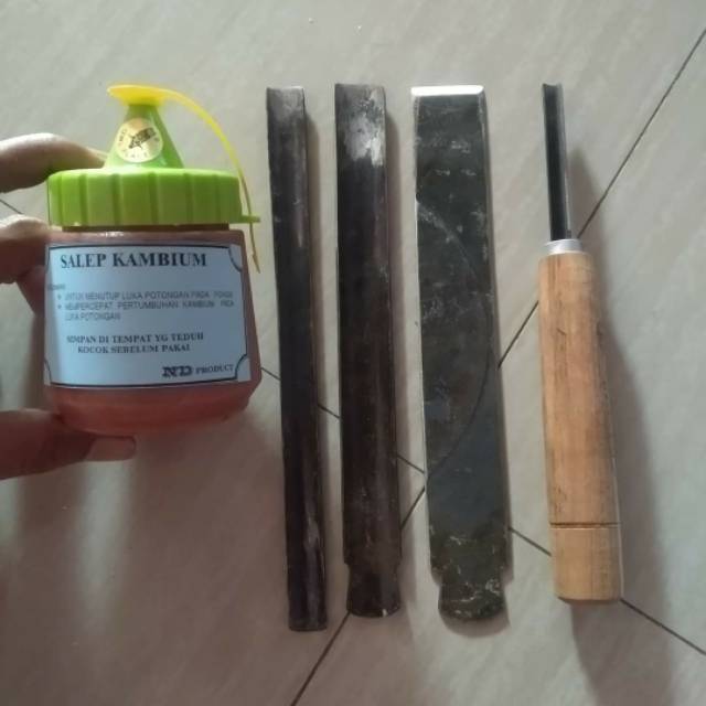 1 paket pahat jin bonsai + salep cambium 250ml