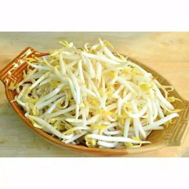 

Tauge sayur - tauge-Tauge sayuran fresh 500gr