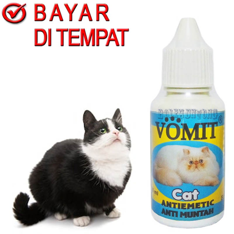 VOMIT CAT OBAT MUNTAH KUCING MABUK SAKIT PERUT PENCERNAAN