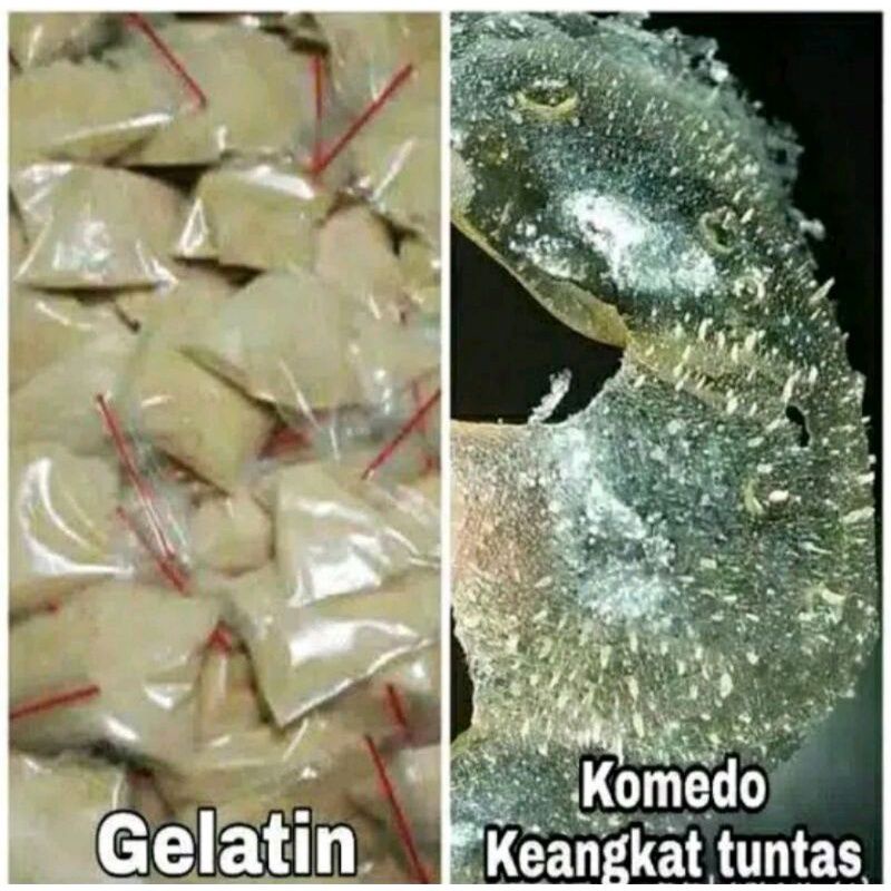 Masker Komedo Gelatin (order minimal 5)