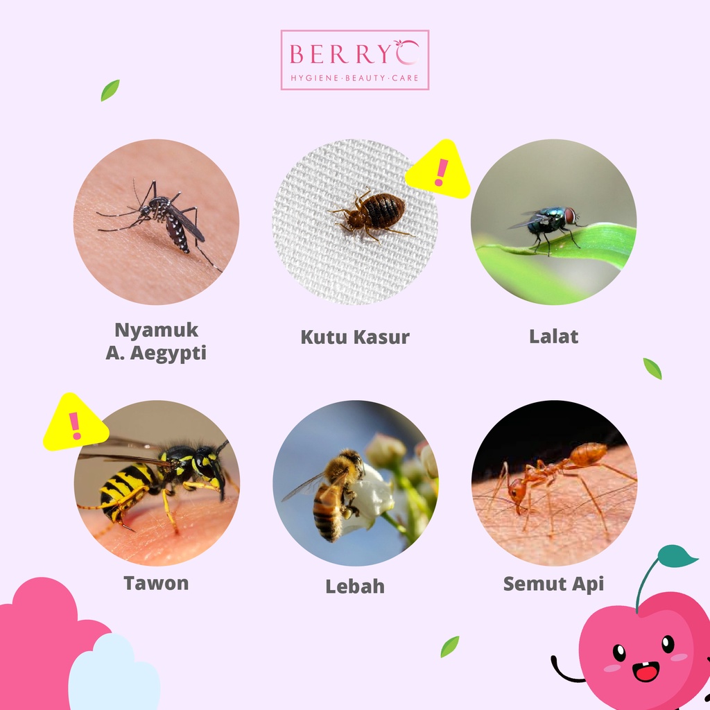 BerryC Buh Bye Bugs 30ml Mosquito Repellent Pocket Spray Anti Nyamuk Natural Antibacterial Ampuh Aman Anak dan Dewasa Kemenkes No DEET Hypoallergen Alergi sensitive skin kulit sensitif dengue dbd kutu tungau serangga natural organik impor lembut malaysia