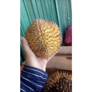 Buah Lay Buah Lai Manis Dalam Kemasan Gram Shopee Indonesia