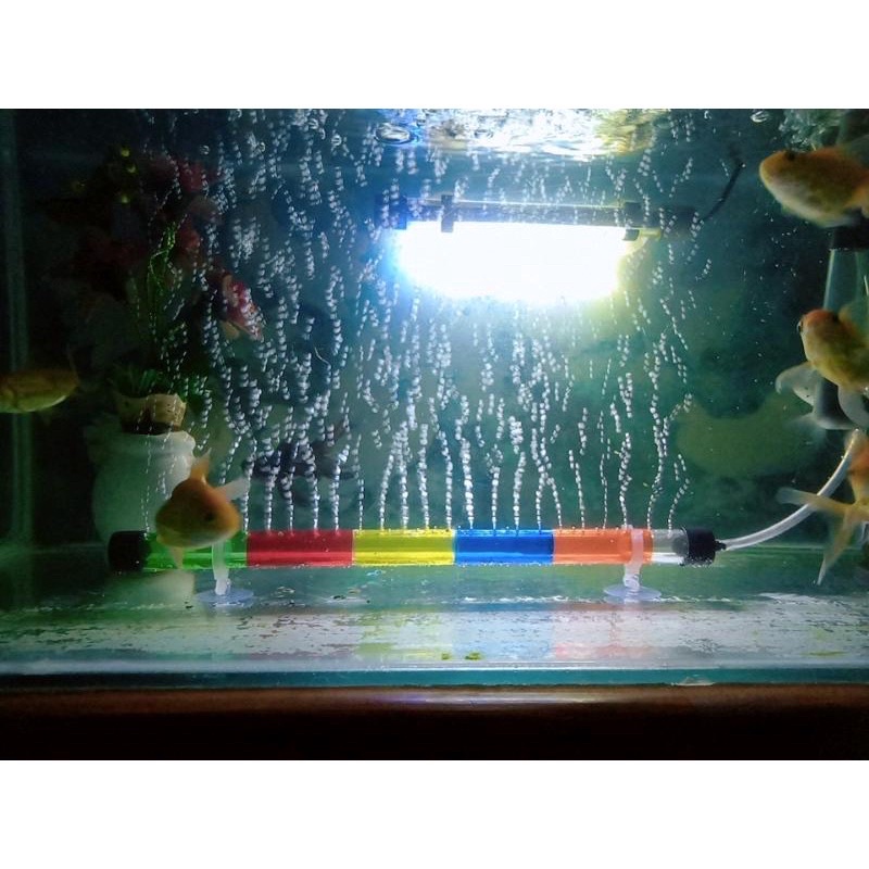 PIPA GELEMBUNG UDARA AERATOR AQUARIUM 20CM 30CM 40CM