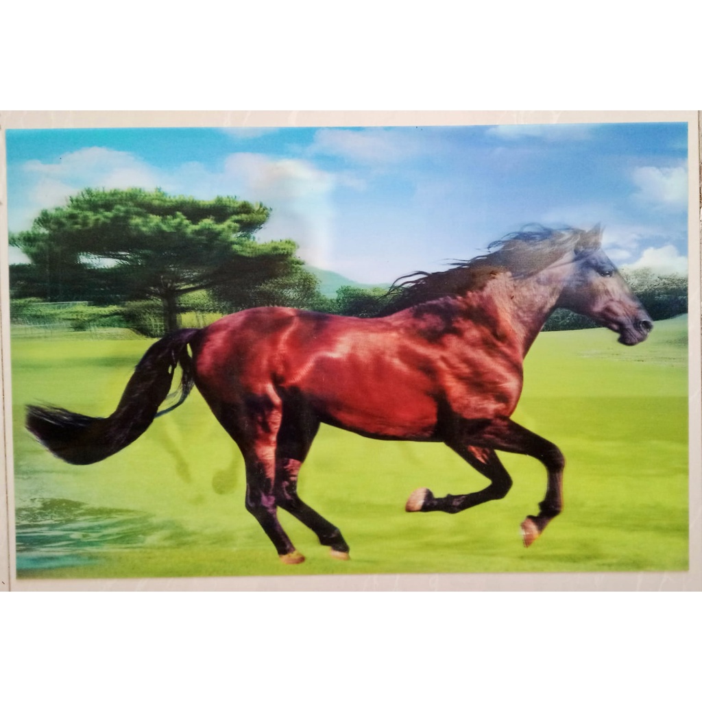 Poster Gambar 3D / 3 Dimensi Hewan Kuda 40x60cm