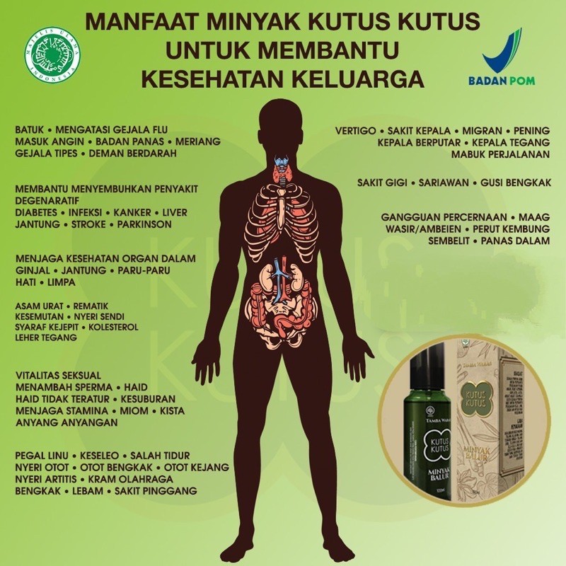 MINYAK BALUR KUTUS KUTUS